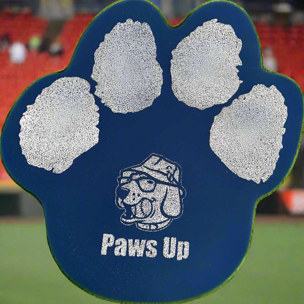 Foam Paw