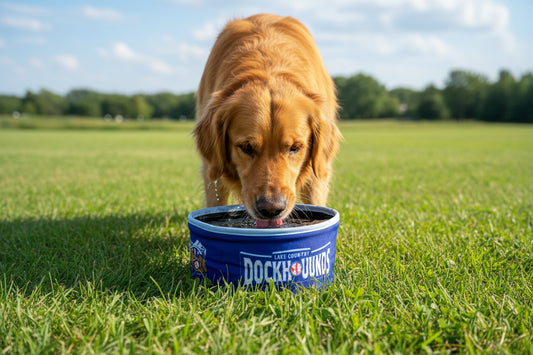 DockHounds Collapsible Bowl