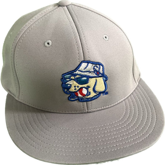 Official Lake Country DockHounds Team Hat