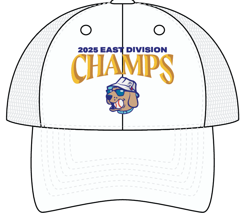 2025 East Division Championship Hat